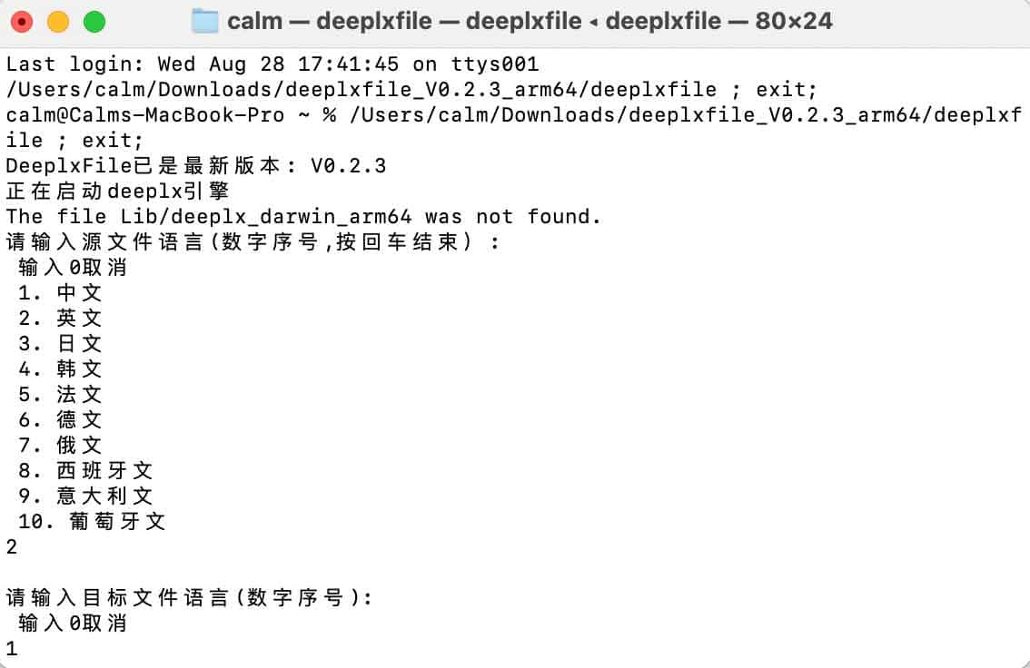 DeeplxFile：基于Deeplx提供的免费，不限制文件大小的文件翻译工具